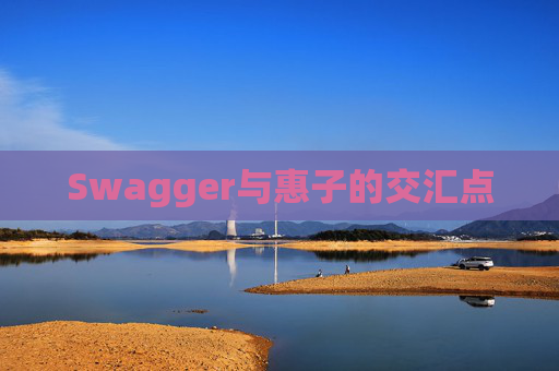 Swagger与惠子的交汇点